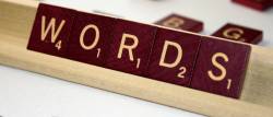 Nerd Rant: Words