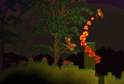 Starbound fire owl