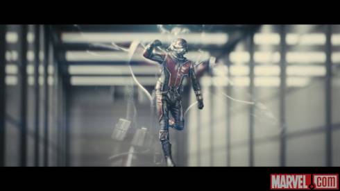 antman 1