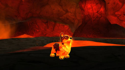 fire corgi